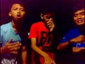Image Indonesia Mencari Lalat