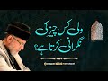 Wali kis cheez ki nigrani krta hai? | Fahm-e-Din