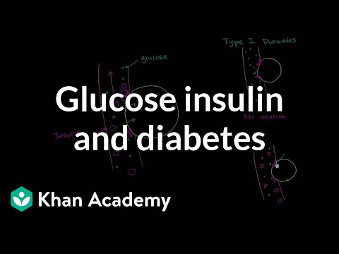 Glucose Insulin and Diabetes