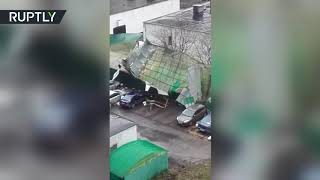 Видео последствий урагана в Москве