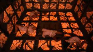 Cube (1997) - Trailer Castellano