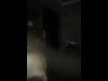 Попадос