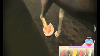 Phantom: Tale of a legend trailer