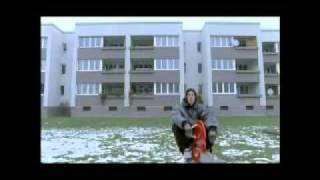 IMPORT EXPORT Trailer