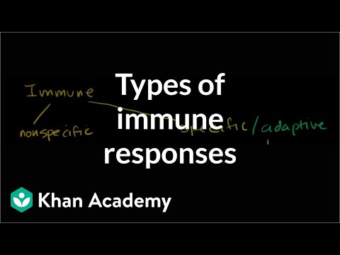 Types of immune responses: Innate and Adaptive.  Humoral vs. Cell-Mediated