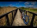 VIDEOCLIP Tura cu bicicleta SSP prin Padurea Comana [VIDEO]