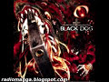 HELLSING OVA サントラ BLACK DOG Amazon.co.jp: HELLSING OVA SERIES OST BLACK DOG: ミュージック