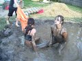 Backyard Mud Wrestling 3!!