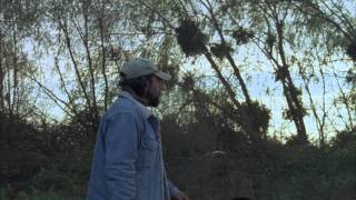 Seated by the Fire (Sentados frente al fuego)- Trailer