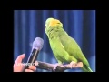 Loro cantante mejor que una persona