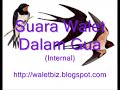 Image Walet Suara Dalam Gua Wmv