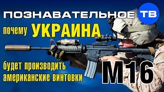 Почему Украина будет производить американские винтовки M16? (Артём Войтенков)