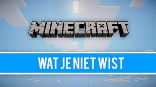 WatJeNietWist: Minecraft