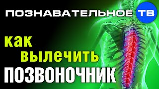 Опубликовано Познавательное ТВ на YouTube 21.07.2014 Герман Тюхтин: Как вылечить позвоночник. Многие болезни позвоночника можно либо убрать совсем, либо существенно облегчить. Достаточно понять, как работает позвоночник и делать простые упражнения. Как вылечить позвоночник? (Познавательное ТВ, Герман Тюхтин)