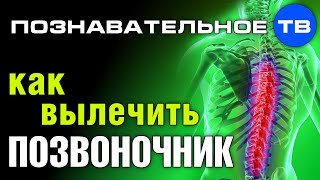 Как вылечить позвоночник? (Познавательное ТВ, Герман Тюхтин)