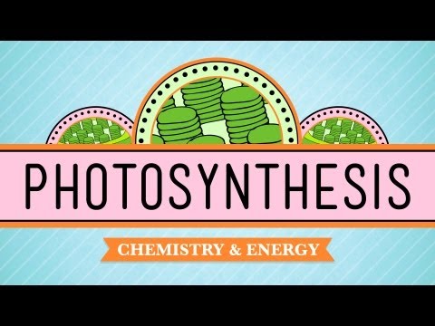 Photosynthesis: CrashCourse Biology #8