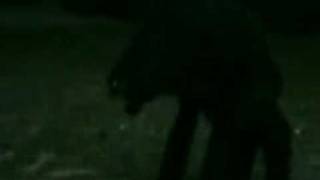 Luisón u Hombre lobo en Yuty.3gp - video Dailymotion