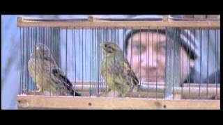 SILENT SOULS [trailer]. Pacific Meridian Film Festival 2010. Competition.