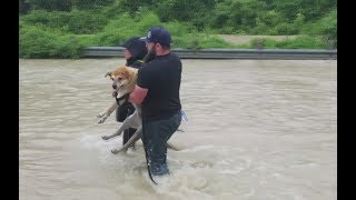 В Хьюстоне из-за сильного наводнения спасатели продолжают эвакуировать местных жителей
