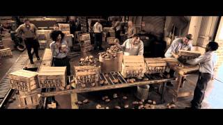 White Knight - Trailer