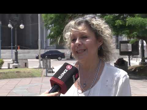 ¿Por qué el arbolito de Navidad se arma el 8 de diciembre?