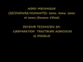 miniature