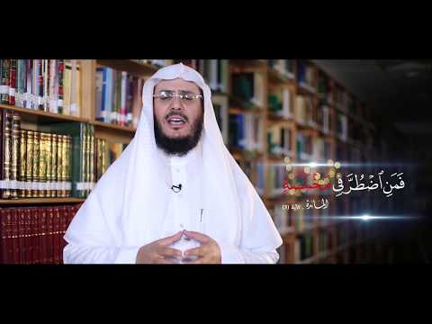 برنامج غريب القرآن | الحلقة 82 - { فَمَنِ اضْطُرَّ فِي مَخْمَصَةٍ }