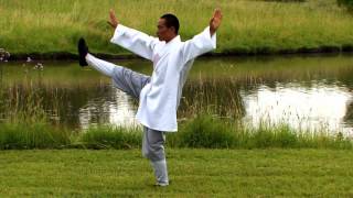 Tai Chi Chuan by a Shaolin Monk in Nature - Zenitude Experience