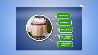 Квашеная капуста. Естественный отбор