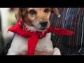 youtube.com youtube.com
