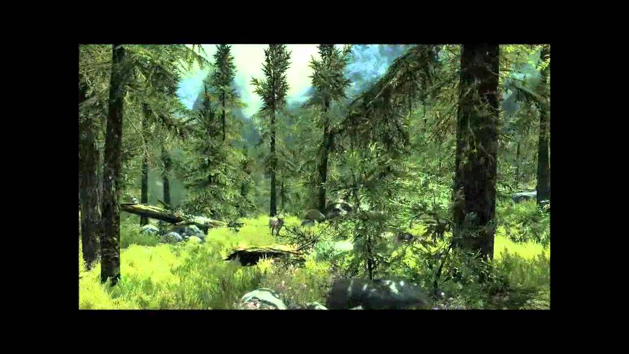 SKYRIM TRAILER MISINTERPRETED LYRICS. by xTheAgilePanda • 264 views.  I've watched about 3 good Misheard Lyrics of this EPIC SONG! So, this is my .