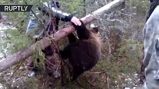 Охотники спасли медвежонка из капкана