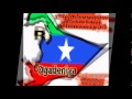 dhaanto ogaden