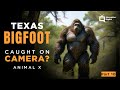 Part 10 Texas Bigfoot - Animal X Natural Mystery Unit