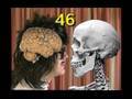 Learning English-Lesson Forty Six (The Human Body)