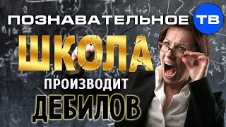 Школа производит дебилов (Михаил Величко)