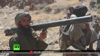 Эксперт: Террористические группировки по всему миру примыкают к ИГ