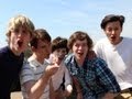 What Makes You Beautiful PARODY