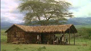 Momella (POLAR Film Trailer)