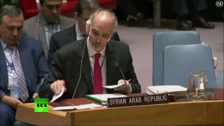 Заседание Совета Безопасности ООН по сирийскому вопросу — LIVE