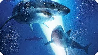 47 METERS DOWN Extended Preview | Trailer & Film Clips (2017) Shark Horror Movie