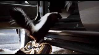 Reine Fellsache - Trailer Reine Fellsache - Trailer