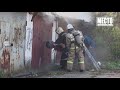 Фрагмент с конца видео Сводка Три человека поели грибов и погибли Место происшествия 20 09 2018 Фрагмент с конца видео Сводка Три человека поели грибов и погибли Место происшествия 20 09 2018