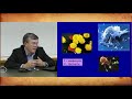 Фрагмент с конца видео Вячеслав Дубынин: "Иммунитет: общие принципы (часть 1)" Фрагмент с конца видео Вячеслав Дубынин: "Иммунитет: общие принципы (часть 1)"