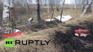 Самолет Як-52 потерпел крушение под Челябинском, два человека погибли
