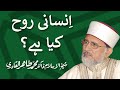 Insani Rooh kia hy? | ______ ___ ___ ___ | Shaykh-ul-Islam Dr Muhammad Tahir-ul-Qadri