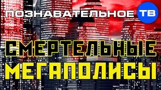 Смертельные мегаполисы (Михаил Величко)