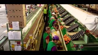 Just Eat It: A Food Waste Story (Trailer @ CPH:DOX 2014)