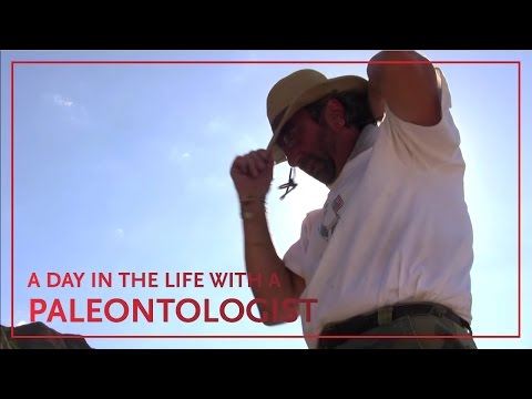 A Day in the Life of Paleontologist Thomas Carr
