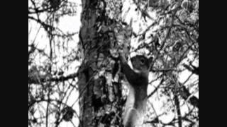 Merzi's Emporium: Genesis  (Official Teaser Trailer)